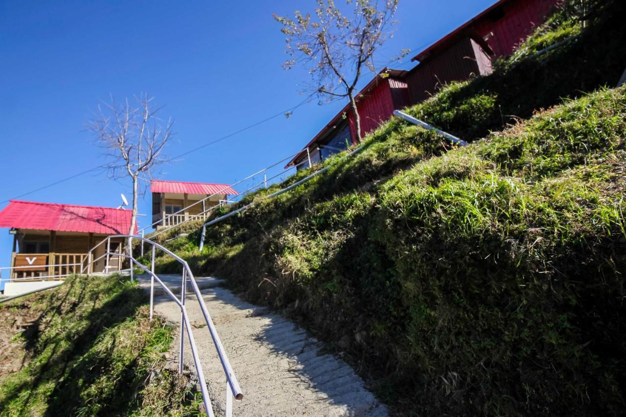 Glamwood Resort Dhanaulti, Ranked 1 In Dhanaulti Bagian luar foto